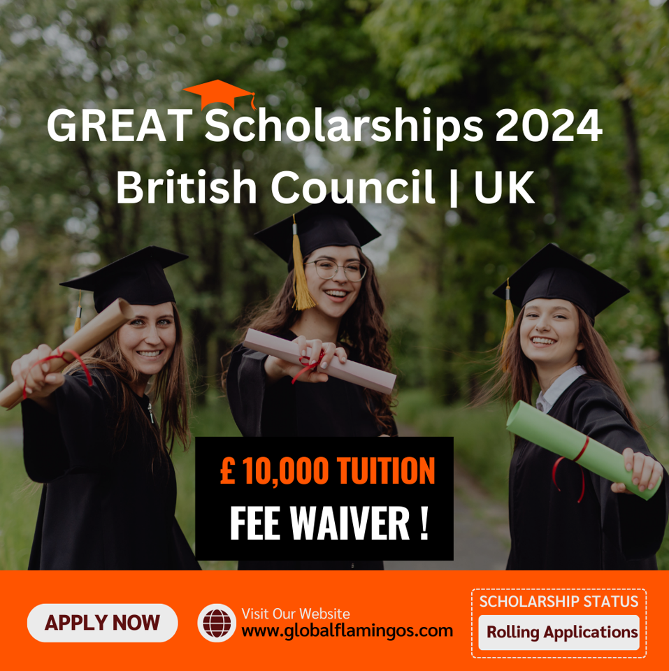 The Ultimate Guide To Get Great Scholarships in 2024!