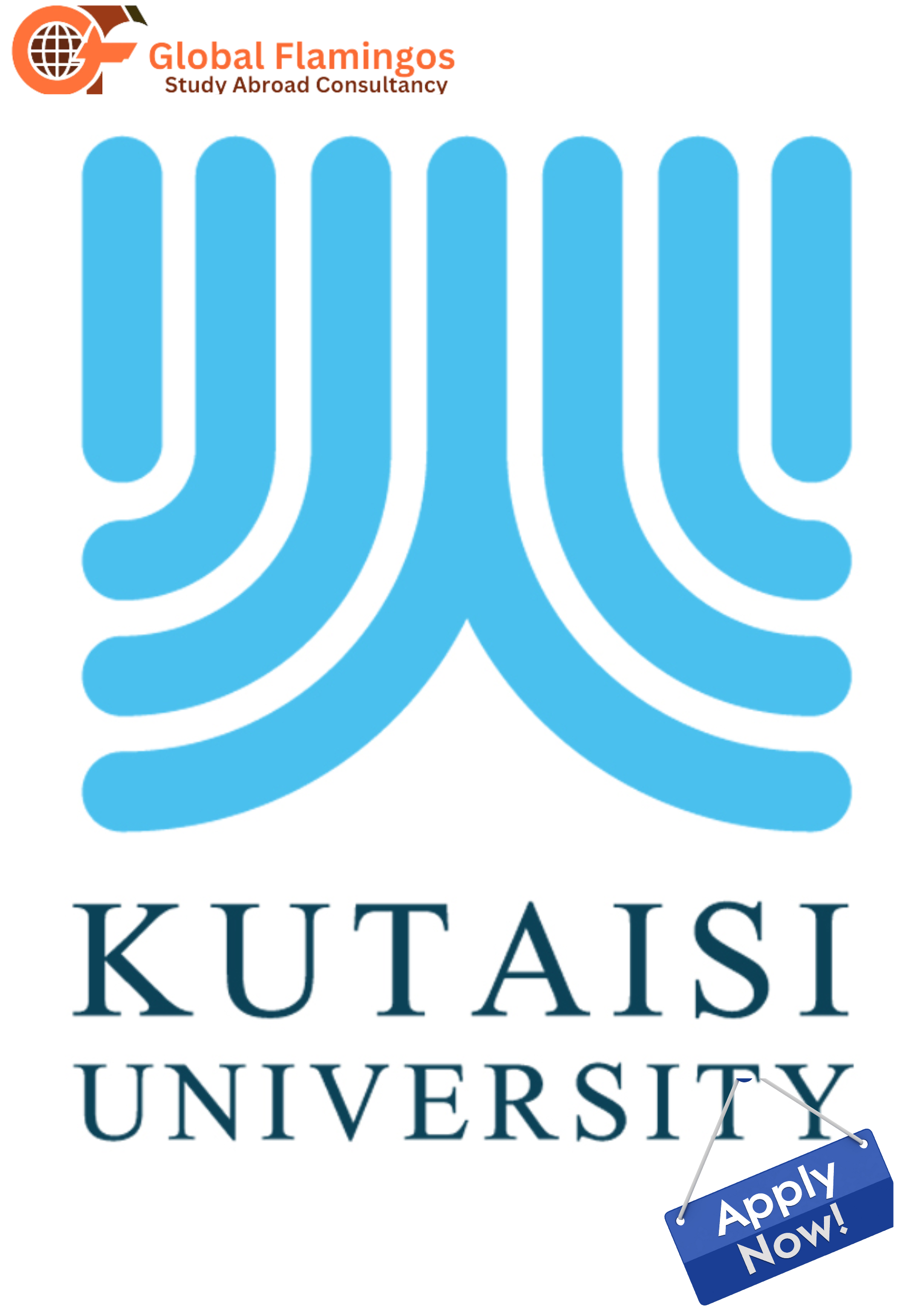 Kutaisi Institute