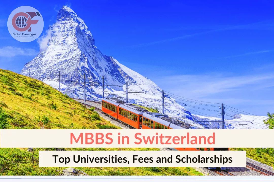 Healthcare: Switzerland MBBS Benefits