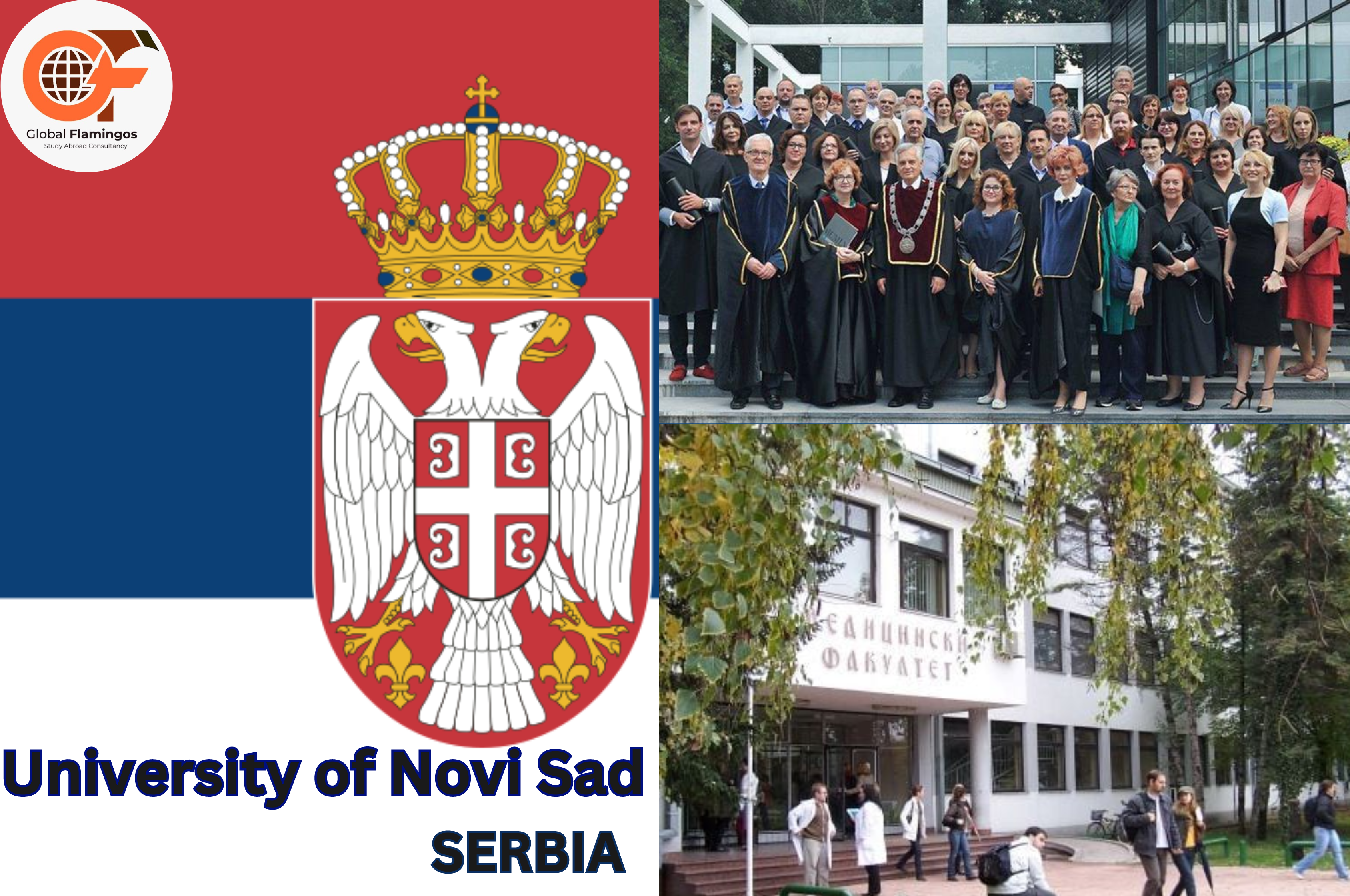 University of Novi Sad