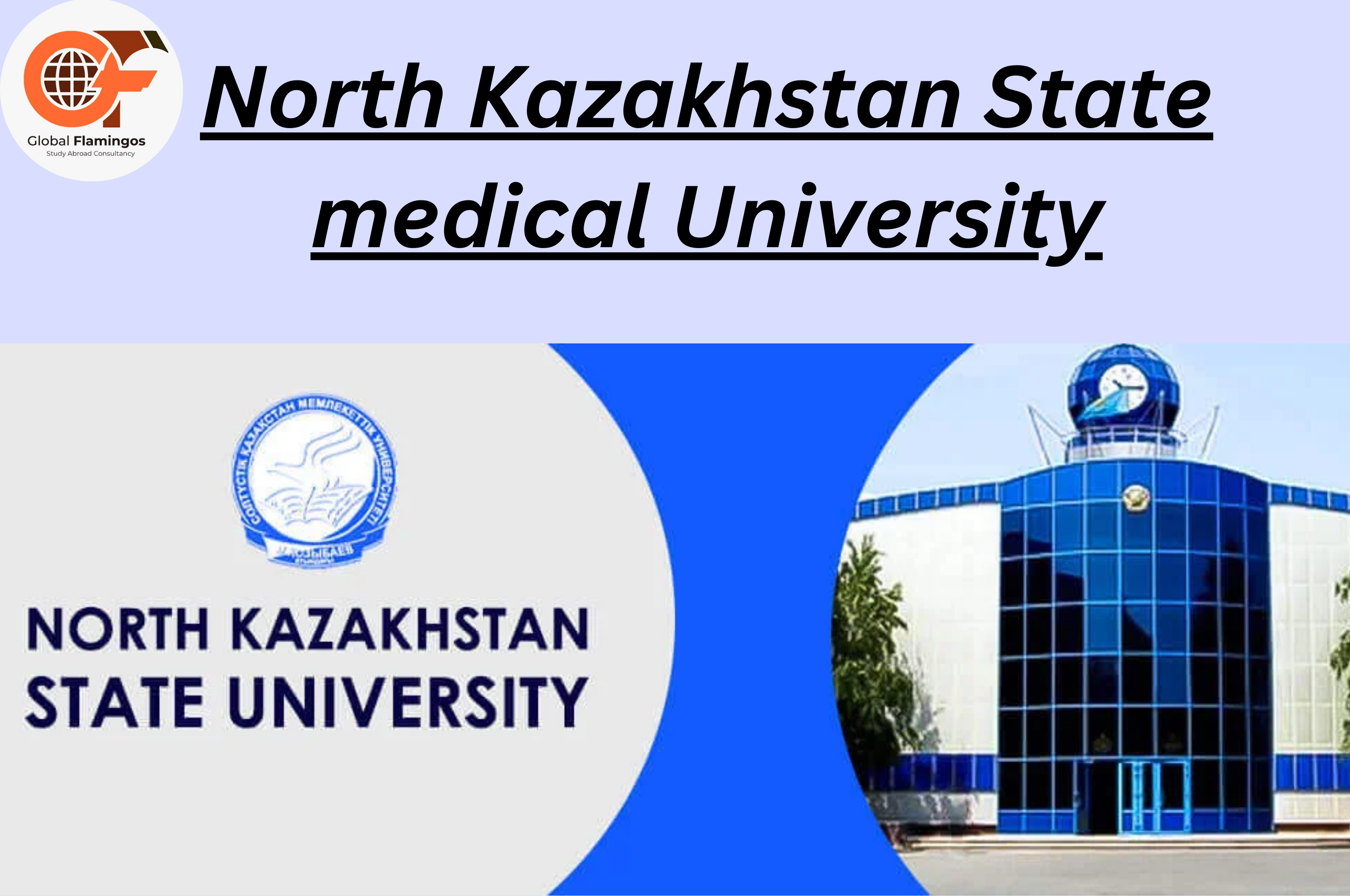 North Kazakhstan State University