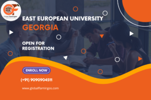 East European University