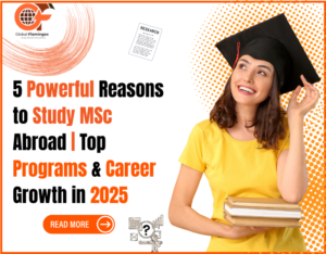 Msc Study abroad